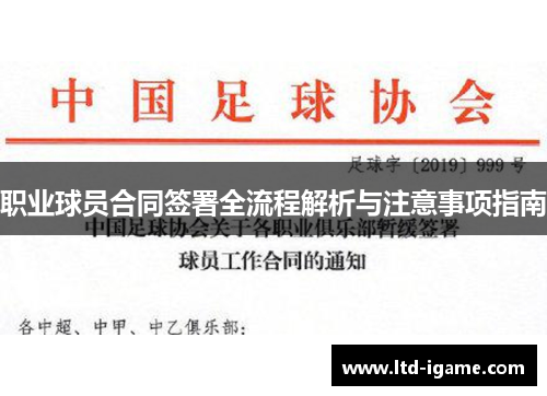职业球员合同签署全流程解析与注意事项指南