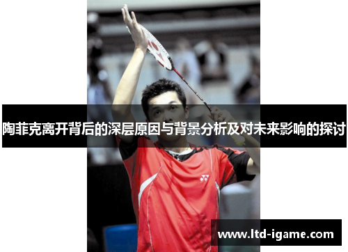 陶菲克离开背后的深层原因与背景分析及对未来影响的探讨