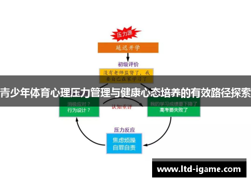 青少年体育心理压力管理与健康心态培养的有效路径探索